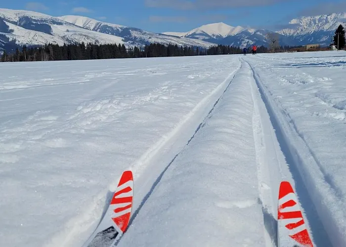 Semesterbostad Holidayhouse Alzbetka Važec